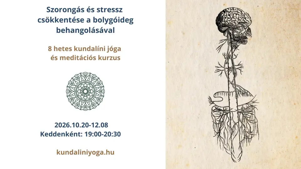 Szorongás és stressz csökkentése a bolygóideg behangolásával